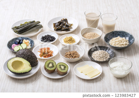 Intestinal health food ingredients, health food ingredients, image material 123983427