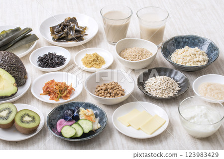 腸道健康食品原料,保健食品原料,圖片素材 腸道健康食品原料,保健食品原料,圖片素材 123983429