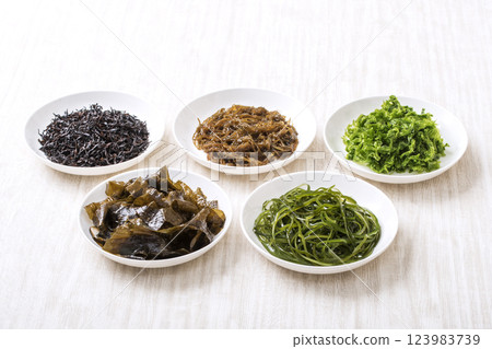 各種海藻、保健食品原料、圖像素材 123983739