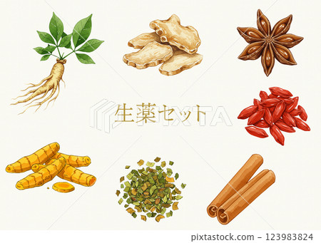 草本、傳統東方草本的水彩插圖集 草本、傳統東方草本的水彩插圖集 123983824