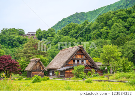 Shirakawa Village Gassho-style Village Wada House in early summer 123984332