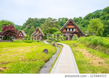 Shirakawa Village Gassho-style Village Wada House in early summer Shirakawa Village Gassho-style Village Wada House in early summer 123984333