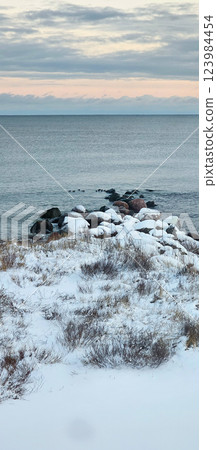 Vertical winter photography on sea beach 123984454