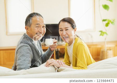Elderly couple relaxing in the living room 123984471