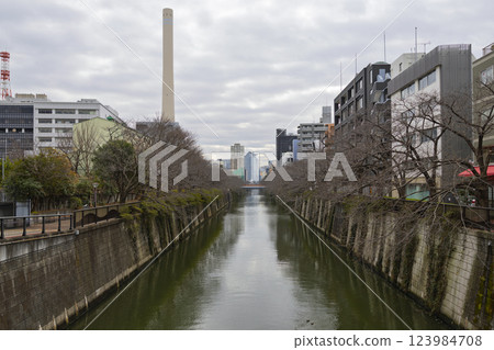 Meguro River 123984708