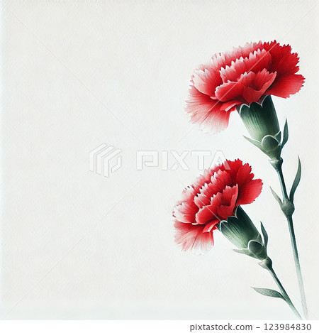 Watercolor carnations - elegant beauty Watercolor carnations - elegant beauty 123984830