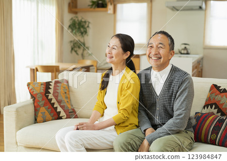 Elderly couple relaxing in the living room 123984847