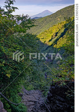 Summer: Chain section of Mt. Gyojadake on the Tanzawa Omote Ridge and Mt. Fuji 123985028