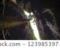 Minamidaito Island Baribari Rock 123985397