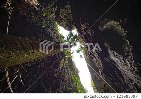 Minamidaito Island Baribari Rock Minamidaito Island Baribari Rock 123985397