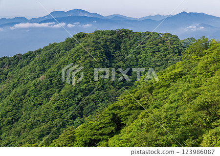 Okura Ridge and the Hakone mountain range seen from the Tanzawa Omote Ridge in summer Okura Ridge and the Hakone mountain range seen from the Tanzawa Omote Ridge in summer 123986087