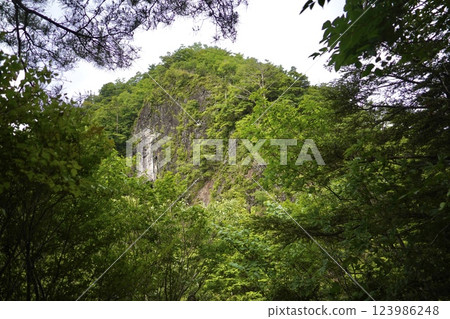 Holidays: Hobby of mountain climbing: Rocky mountain surrounded by deep greenery① 123986248