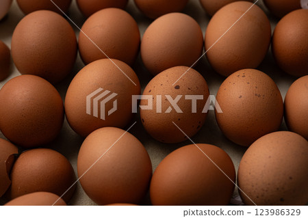 Dark Egg Dark Egg 123986329