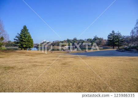 A park scene with a stage in the winter against a blue sky A park scene with a stage in the winter against a blue sky 123986335