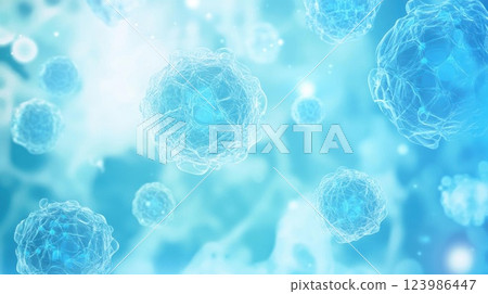 cute kitten on the window cute kitten on the window 123986447