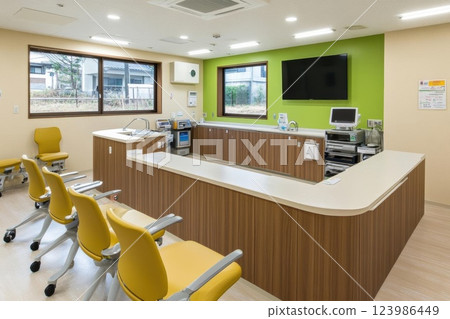 cute kitten on the window 123986449