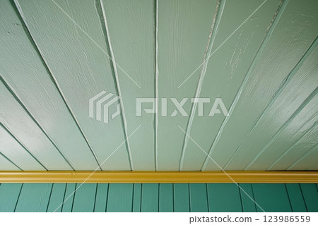 Green Ceiling Boards Meet Yellow Trim, Minimalist Interior Design Concept 123986559