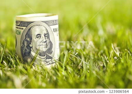 Money Grows in Grass: Exploring Financial Growth and Sustainability 123986564