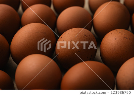 Dark Egg 123986790