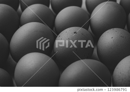 Lots of eggs Lots of eggs 123986791