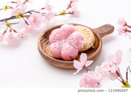 盤子裡的櫻花和日式甜點 盤子裡的櫻花和日式甜點 123986897