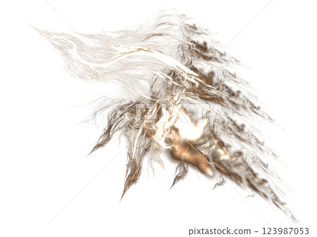 變成閃電的鳥 變成閃電的鳥 123987053