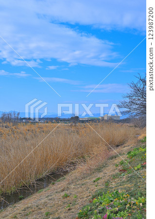 從深谷市荒川河床望去的秩父山脈 123987200