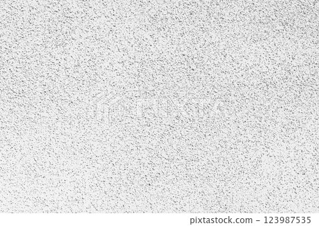 A white wall with fine stone grains on its surface A white wall with fine stone grains on its surface 123987535