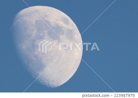 Moon  123987970