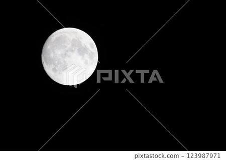 Moon  123987971