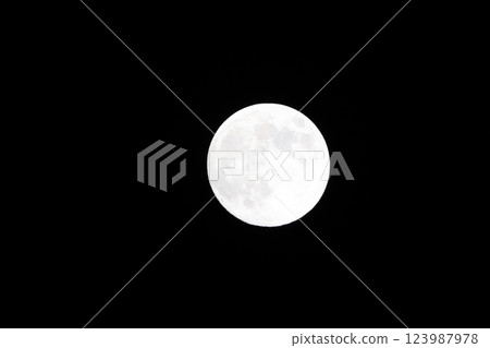 Moon Moon 123987978