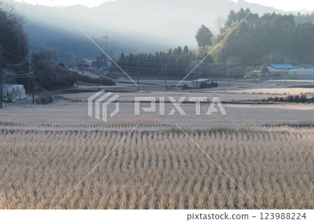 Mist-covered rural winter landscape 123988224