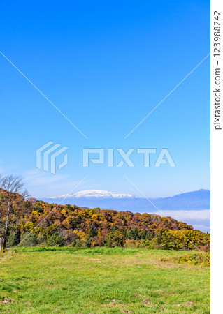 山形縣天童公園的秋天 山形縣天童公園的秋天 123988242
