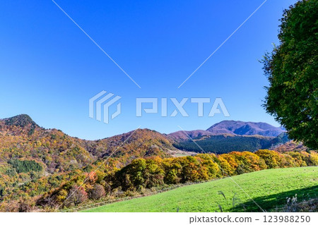Autumn at Tendo Park in Yamagata 123988250
