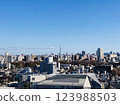 晴朗的天空中,東京這座大城市的象徵-晴空塔巍然聳立。 晴朗的天空中,東京這座大城市的象徵-晴空塔巍然聳立。 123988503