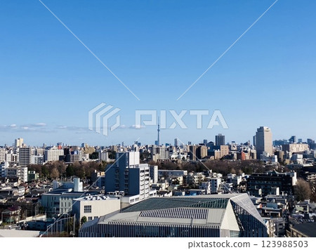 晴朗的天空中，東京這座大城市的象徵－晴空塔巍然聳立。 123988503