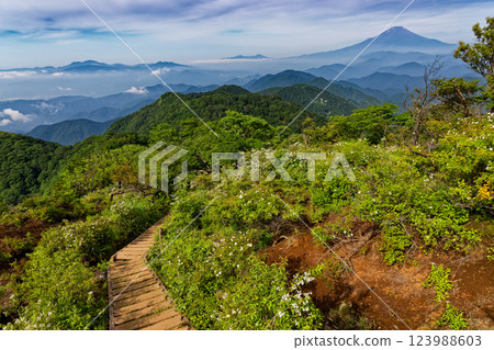 Okura Ridge and Mt. Fuji seen from just below the summit of Mt. Tonodake in Tanzawa in summer 123988603