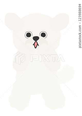 一隻毛茸茸的白色狗用手摀住嘴,驚訝地睜大眼睛 - 馬耳他犬,玩具貴賓犬 一隻毛茸茸的白色狗用手摀住嘴,驚訝地睜大眼睛 - 馬耳他犬,玩具貴賓犬 123988694