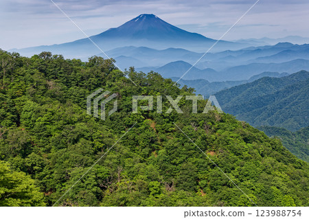 Mt. Fuji seen from just below the summit of Mt. Tonodake in Tanzawa in summer 123988754