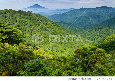 夏季從丹澤殿嶽山頂下俯瞰富士山 123988755