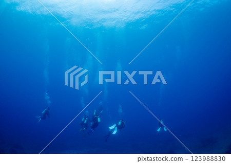 潛水員潛入東京小笠原的笠原藍海 潛水員潛入東京小笠原的笠原藍海 123988830