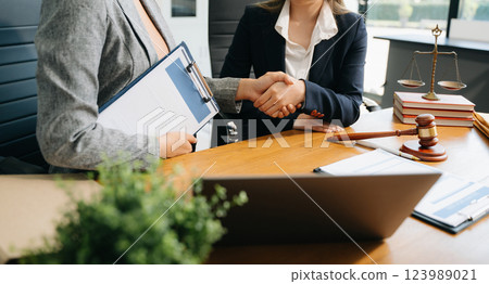 Consultation between a male lawyer and business customer, handshake after good deal agreement, Law and Legal 123989021
