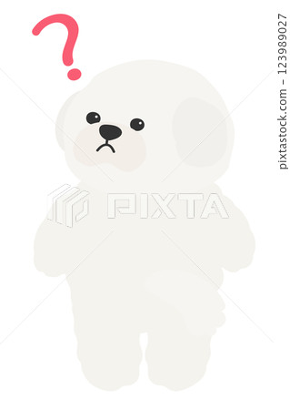 A fluffy white dog looking back with a question mark on its face: Bichon Frise, Maltese, Toy Poodle A fluffy white dog looking back with a question mark on its face: Bichon Frise, Maltese, Toy Poodle 123989027