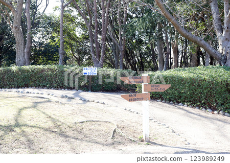 Plum garden in Ishigaya Park (Akashi City, Hyogo Prefecture) 123989249