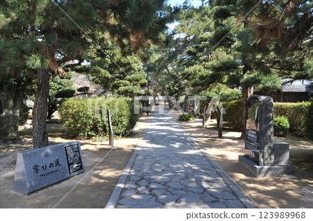 Shoin Shrine Learning Path 2025 123989968