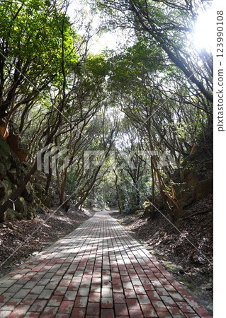 綠樹環繞的長廊 123990108