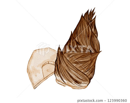 新鮮竹筍、春季蔬菜的向量插圖，以水彩風格繪製 123990360