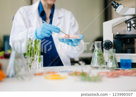 Food science as lab scientists test and analyze vegetables for safety and quality using advanced technology 123990507