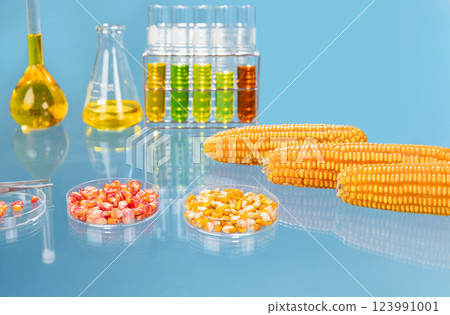 Biofuel with Plants industry lab researching for bio-aviation fuel (BAF) to be a sustainable aviation fuel (SAF) Biofuel with Plants industry lab researching for bio-aviation fuel (BAF) to be a sustainable aviation fuel (SAF) 123991001