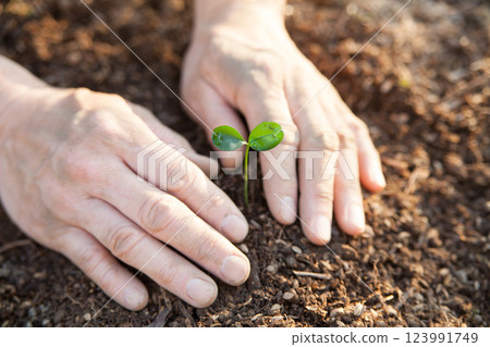 Sprouts out 123991749